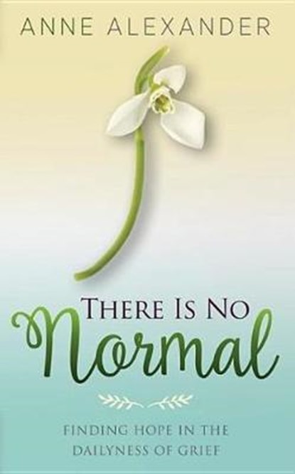 There Is No Normal, ALEXANDER,  Anne - Paperback - 9781947671188