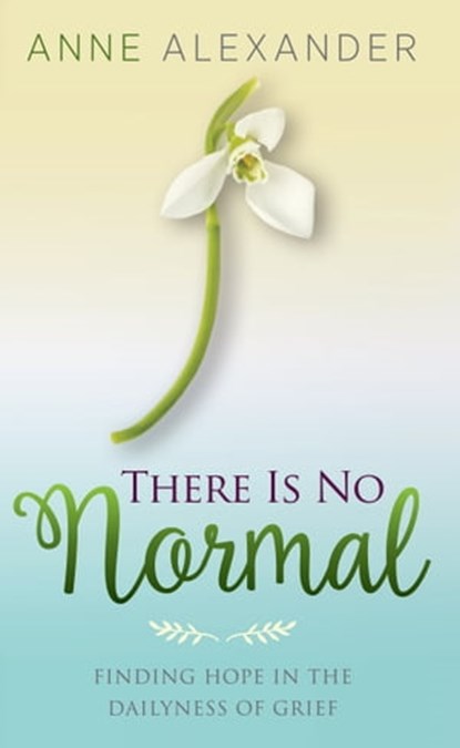 There Is No Normal: Finding Hope in the Dailyness of Grief, Anne Alexander - Ebook - 9781947671959