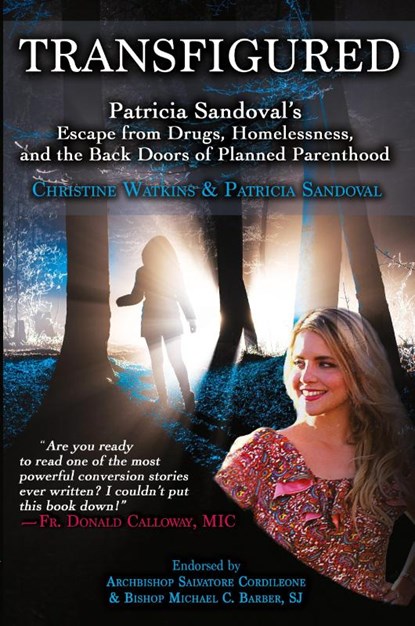 Transfigured, Christine Watkins - Paperback - 9781947701007