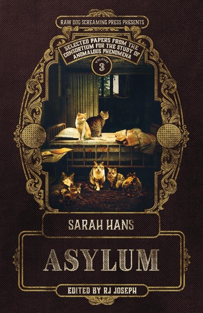 Asylum, Sarah Hans - Paperback - 9781947879683