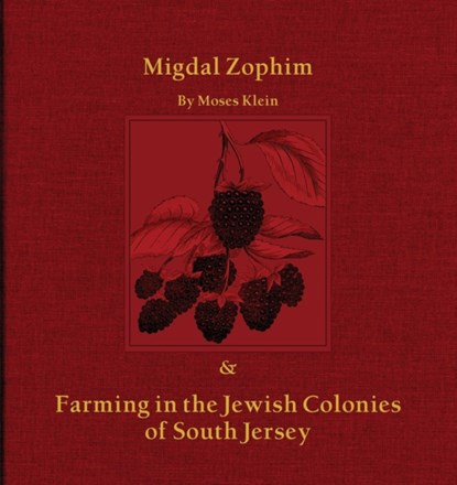 Migdal Zophim, Moses Klein - Paperback - 9781947889897