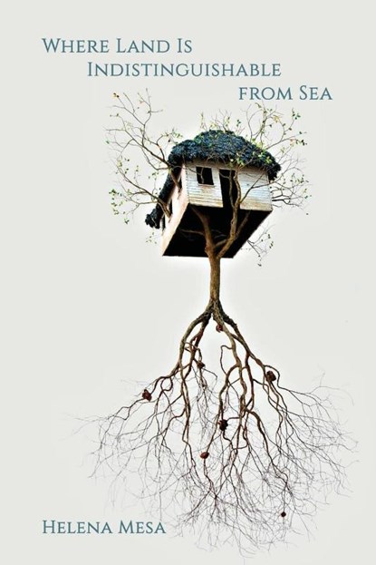 Where Land Is Indistinguishable from Sea, Helena Mesa - Paperback - 9781947896673