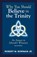 Why You Should Believe in the Trinity, Robert M. Bowman - Paperback - 9781947929425