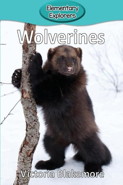Wolverines, Victoria Blakemore - Paperback - 9781948388382
