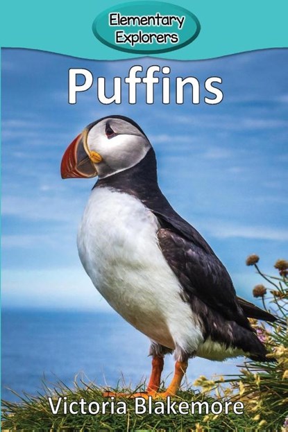 Puffins, Victoria Blakemore - Paperback - 9781948388887