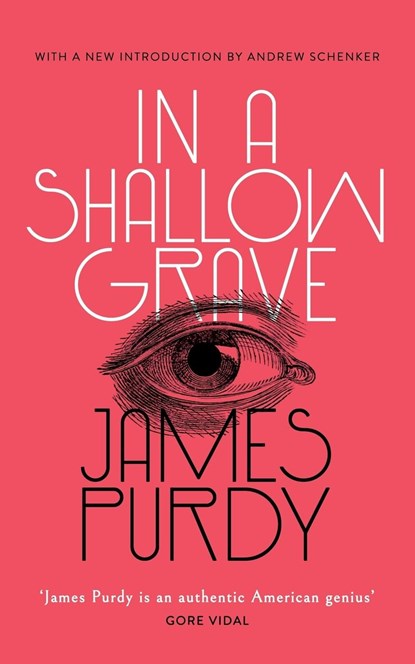 In a Shallow Grave (Valancourt 20th Century Classics), James Purdy - Paperback - 9781948405249