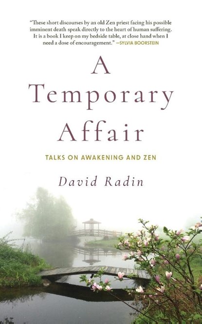 A Temporary Affair, David Radin - Paperback - 9781948626675