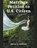 Marriage Petition to U.S. Citizen, Brian D Lerner - Paperback - 9781948774956