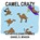 Camel Crazy, Kathryn Elizabeth Jones - Paperback - 9781948804332