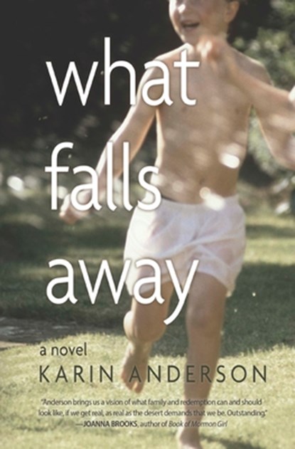 WHAT FALLS AWAY, Karin Anderson - Paperback - 9781948814799