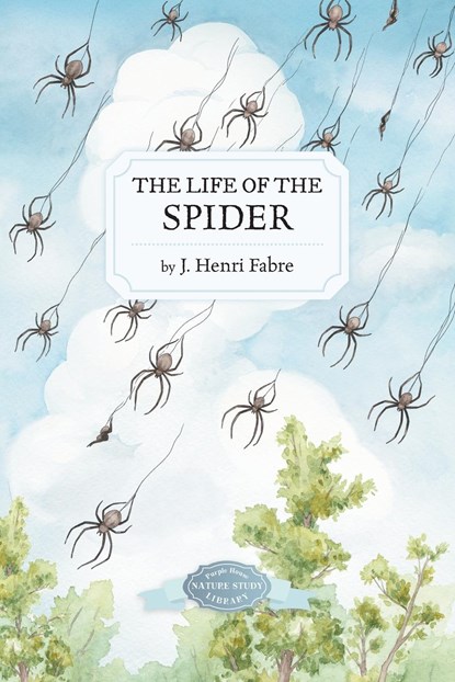 The Life of the Spider, J Henri Fabre - Paperback - 9781948959650