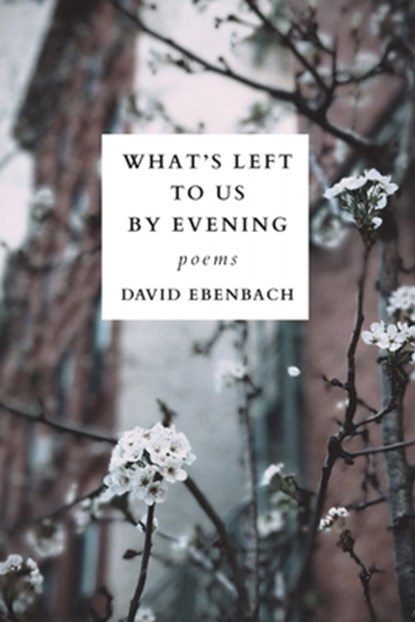 What's Left to Us by Evening, David Ebenbach - Paperback - 9781949039368