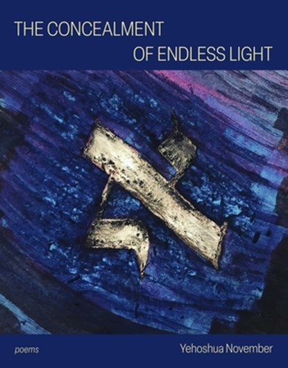 The Concealment of Endless Light, Yehoshua November - Paperback - 9781949039504