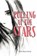 Pulling at the Stars, Beth Marie Read - Paperback - 9781949116144