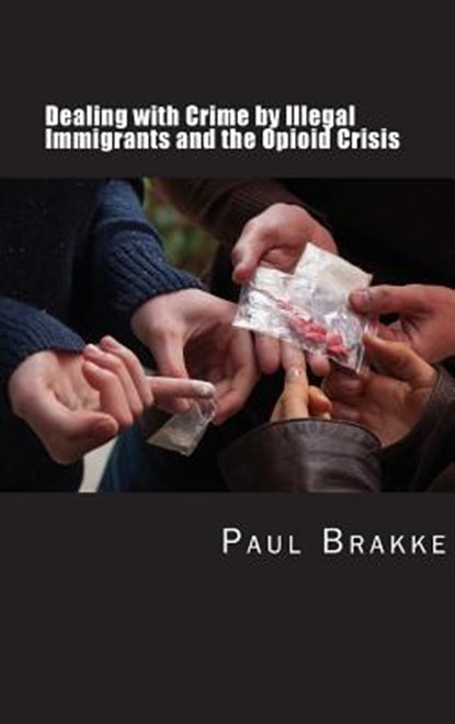 Dealing with Crime by Illegal Immigrants and the Opioid Crisis, Paul Brakke - Gebonden - 9781949537000