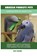 Amazon Parrots Pets, Lolly Brown - Paperback - 9781949555257