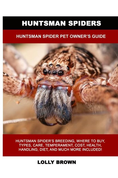 Huntsman Spiders, Lolly Brown - Paperback - 9781949555332