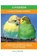 Lovebirds, Lolly Brown - Paperback - 9781949555356