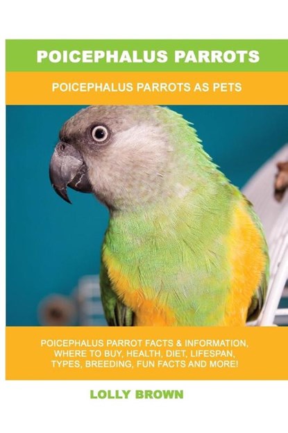 Poicephalus Parrots, Lolly Brown - Paperback - 9781949555424
