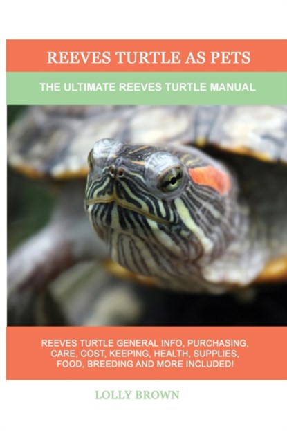Reeves Turtle as Pets, Lolly Brown - Paperback - 9781949555431