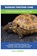 Russian Tortoise Care, Lolly Brown - Paperback - 9781949555486