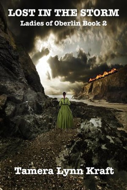 Lost in the Storm, Tamera Lynn Kraft - Ebook - 9781949564631