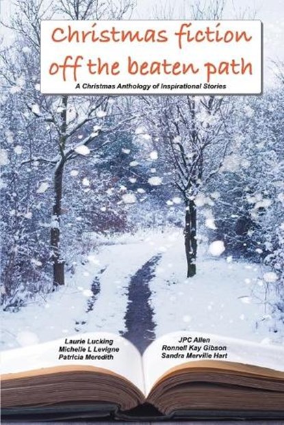Christmas Fiction Off the Beaten Path, Patricia Meredith ; Laurie Lucking ; Jpc Allen - Paperback - 9781949564723