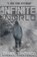 Infinite World, SANTIAGO,  Daniel - Paperback - 9781949609943
