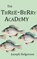 The Three Berry Academy, Joseph Helgerson - Paperback - 9781949615005