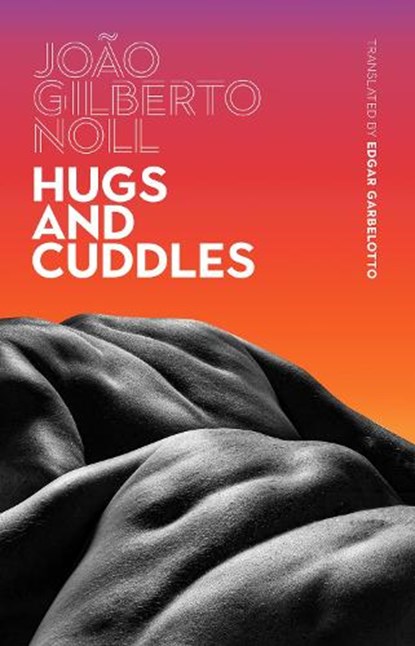 HUGS & CUDDLES, João Gilberto Noll - Paperback - 9781949641387