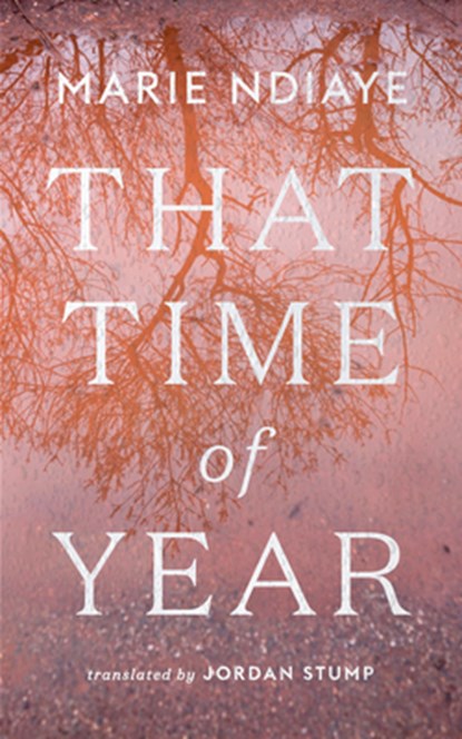 That Time of Year, Marie Ndiaye - Paperback - 9781949641493