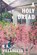 A Holy Dread, R. A. Villanueva - Paperback - 9781949944860