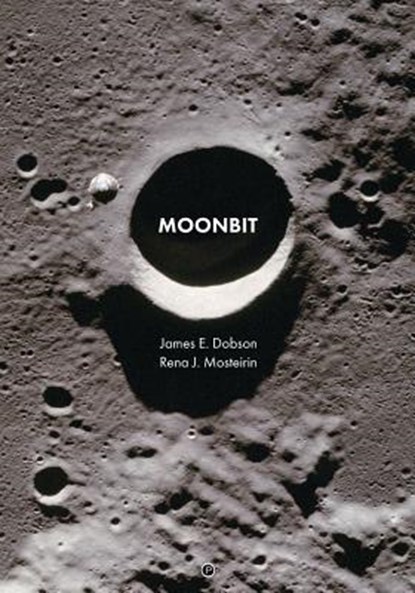 Moonbit, Rena J. Mosteirin - Paperback - 9781950192335