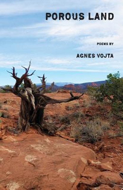 Porous Land, Agnes Vojta - Paperback - 9781950380015