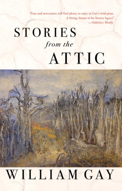 Stories from the Attic, William Gay - Paperback - 9781950539963