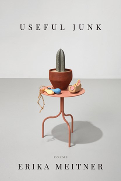 Useful Junk, Erika Meitner - Paperback - 9781950774531