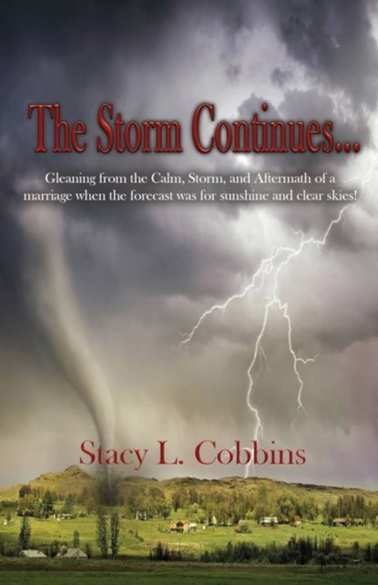 The Storm Continues..., Stacy L Cobbins - Paperback - 9781951300135
