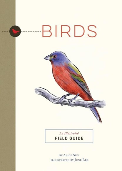 Birds, Alice Sun - Paperback - 9781951511326