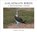 Galapagos Birds, Mathew Tekulsky - Gebonden - 9781951541125