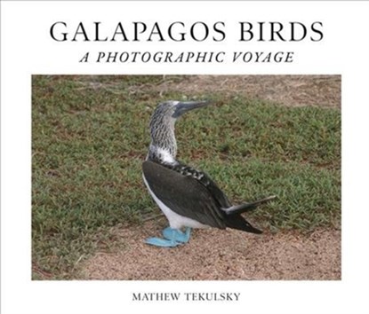 Galapagos Birds, Mathew Tekulsky - Gebonden - 9781951541125