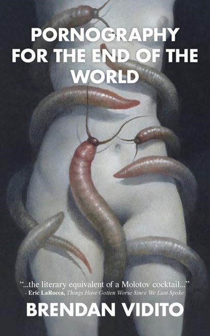 Pornography for the End of the World, Brendan Vidito - Paperback - 9781951658236