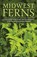 Midwest Ferns, Steve W. Chadde - Paperback - 9781951682040