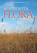 Minnesota Flora, Steve W. Chadde - Paperback - 9781951682071