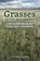 Grasses of the Southwest, Steve W. Chadde - Paperback - 9781951682347