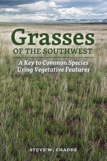 Grasses of the Southwest, Steve W. Chadde - Paperback - 9781951682347