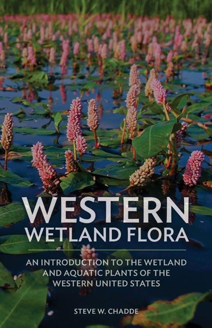 Western Wetland Flora, Steve W. Chadde - Paperback - 9781951682378