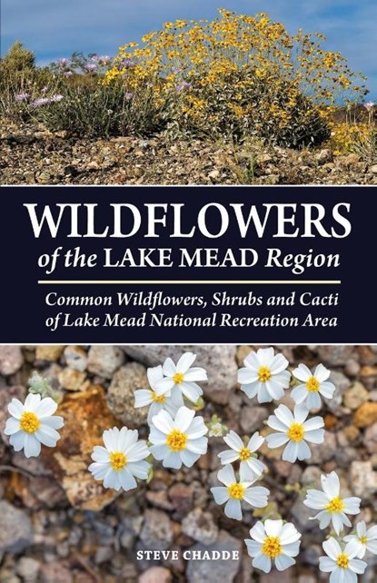 Wildflowers of the Lake Mead Region, Steve W Chadde - Paperback - 9781951682675