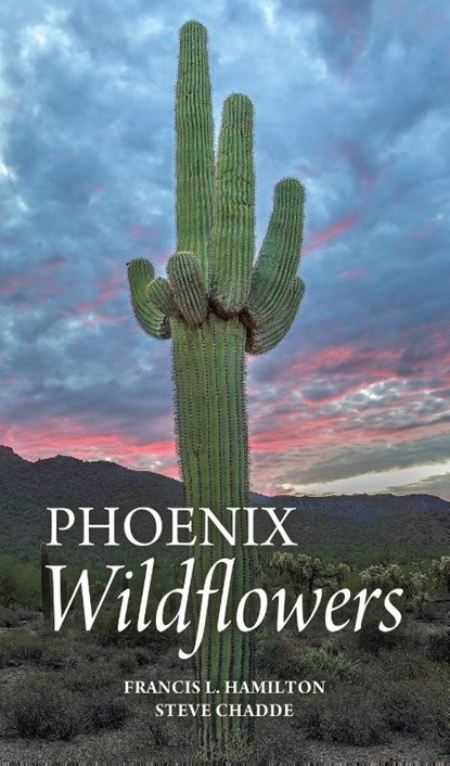Phoenix Wildflowers, Francis L. Hamilton ; Steve W. Chadde - Paperback - 9781951682910
