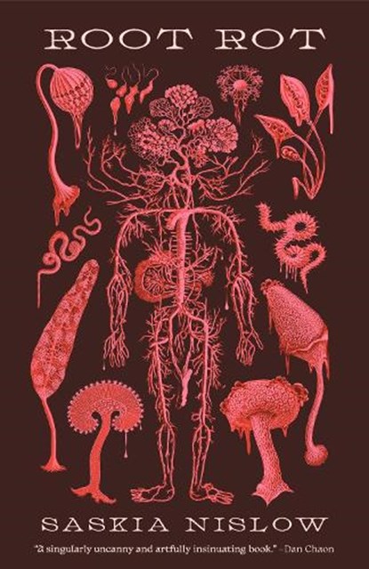 Nislow, S: Root Rot, Saskia Nislow - Paperback - 9781951971250