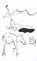 Bury Your Horses, Kelsey Marie Harris - Paperback - 9781952055072